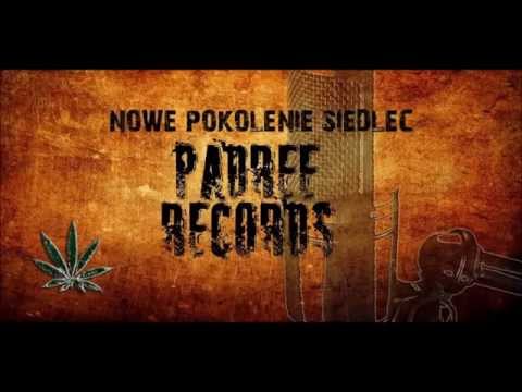 Czapi NPS x Młoda Wena x Aro x Kornel NPS - Mierze wysoko