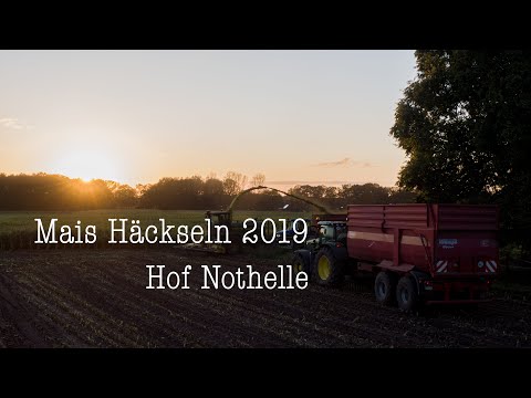 Maisernte 2019 Kirchhellen Hof Nothelle/ LU Berning