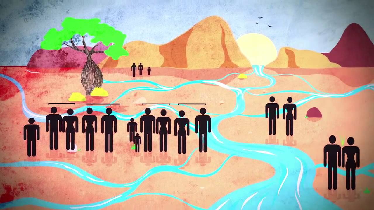 Why is kinship important in Aboriginal society?