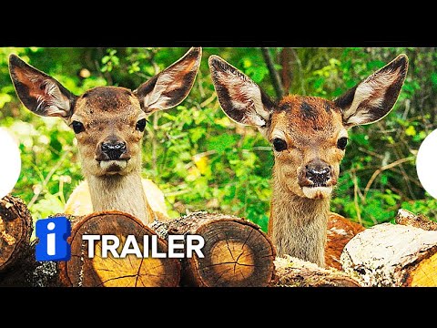 Bambi – Uma Aventura Na Floresta - Trailer