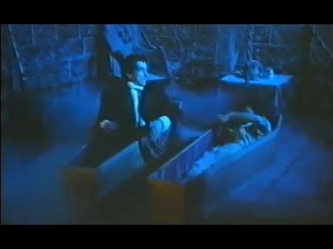 1984 Spectrum Computer K Tel Double Games Advert