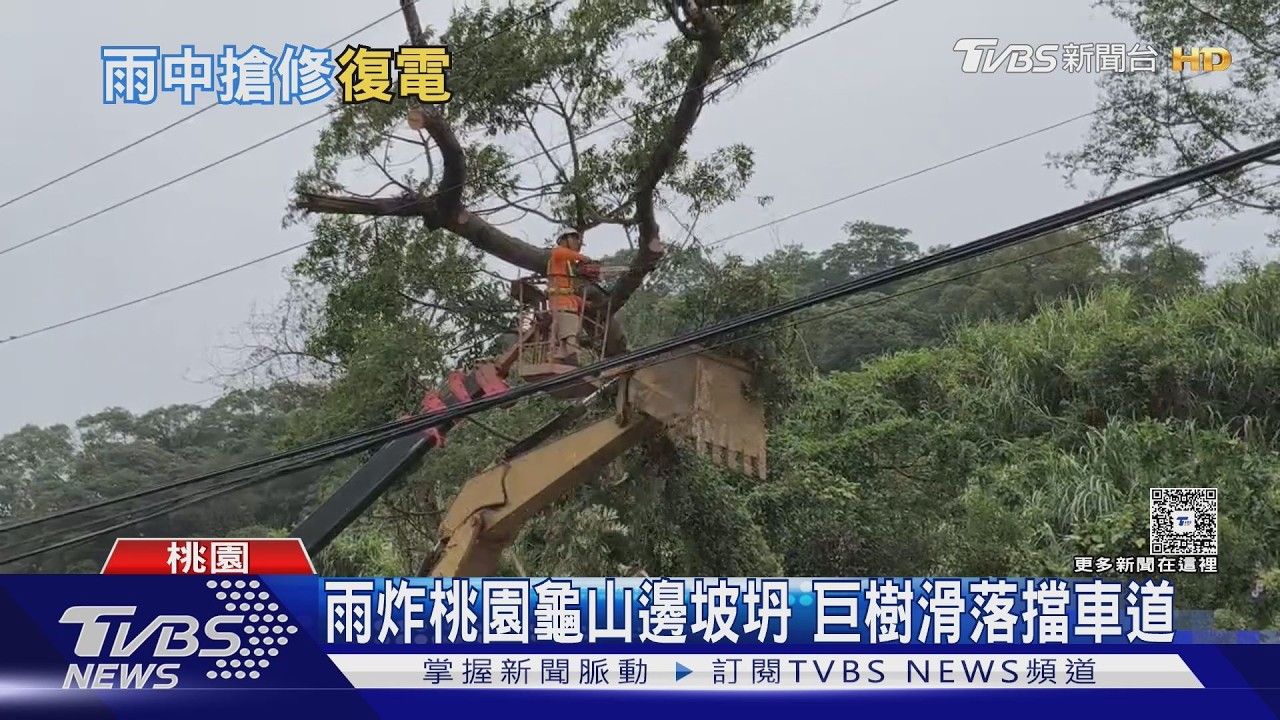 影音/連日暴雨釀災!基隆2千戶因大樹倒壓電纜 急停電1小時