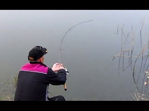 Overfladefiskeri efter karper - dappefiskeri