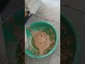 Hyundai Venue Petrol Gdi Engine Oil Cooler Damage Automobile Hyundai Venue