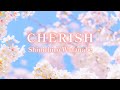 【CHERISH～桜雨～/渡部慎一郎】のYouTubeサムネイル