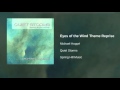 Michael Hoppé - Eyes of the Wind Theme Reprise