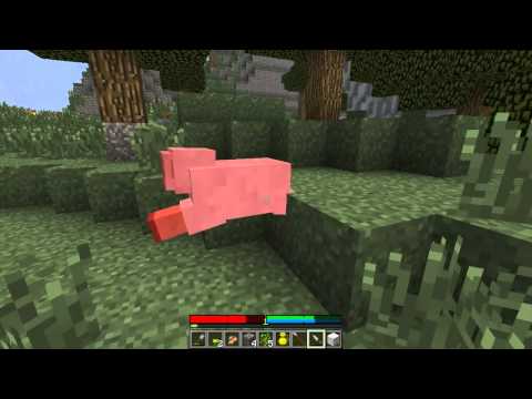 Terrafirmacraft w/ Dratnos Episode 2 Caveman Style