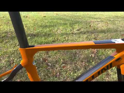 2022 Cipollini Bond 2