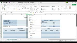 Exp19 Excel Ch12 ML2 Travel Expense Answer Key | Excel 2019 Full Guide