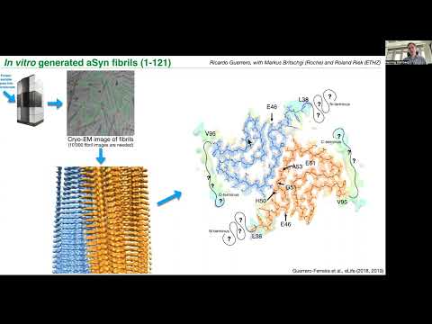 LBEM – Prof  Henning Stahlberg