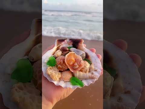 Today we find some sea treasures #seashell #seatreasures #nature #beach #seaglass #karachibeach