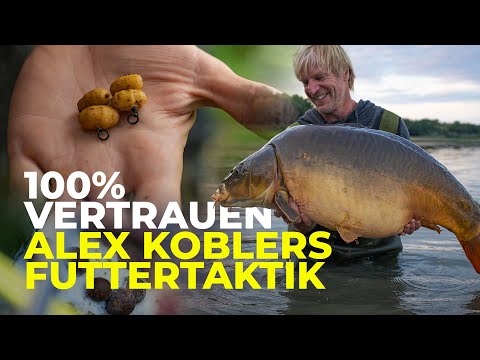 Koblers Futtertaktik für Flachlandseen | Funktioniert (fast) immer! | Alex Kobler | Karpfenangeln