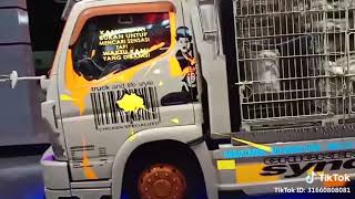 Download lagu Truk mbois muatan ayam mp3 Download lagu Truk mbois muatan ayam mp3