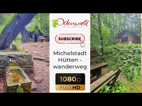 Hüttenwanderung Michelstadt | Der Odenwald im August | Wandern Hiking