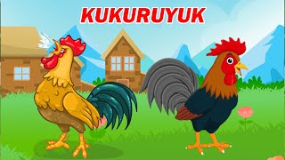 Download lagu Kukuruyuk Begitulah Bunyinya - Lagu Anak Indonesia Populer mp3 Download lagu Kukuruyuk Begitulah Bunyinya - Lagu Anak Indonesia Populer mp3