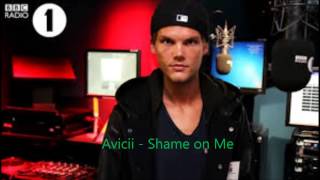 Avicii - Shame on Me (lyrics) #True
