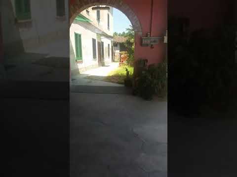 Grigliata con sorpresa...