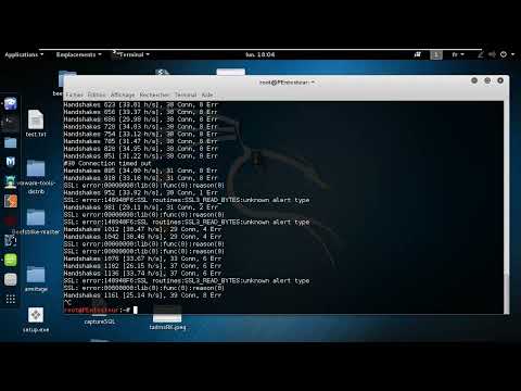 [Partie-2 Dénis de service] 2- Les Techniques du DoS