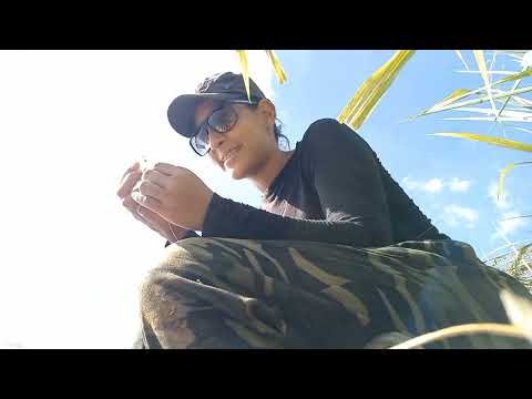 Pescaria de tucunaré na lagoa de Nova Odessa interior de São Paulo! 