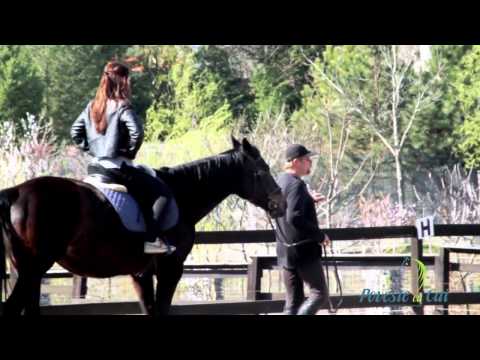 Prezentarea locatiei si a activitatilor desfasurate la Centrul de echitatie "Poveste cu Cai"