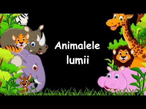 Animalele lumii ☛Animalele salbatice☚