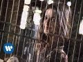 Alejandro Sanz - Si Tu Me Miras (Videoclip oficial)