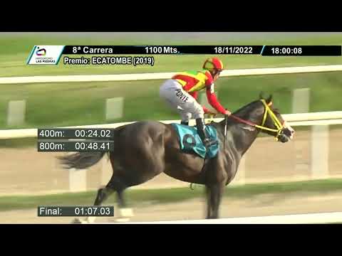 221118 c08 - JUAN DIEGO - HIPODROMO LAS PIEDRAS