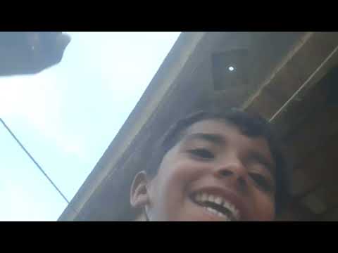 playing with cats | chota vloger | Kids | pet animals