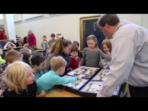 Lasten yliopisto - Pöyhkeät perhoset ja liehuvat lepakot