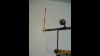 The Sculpture World of Jerry Harris: Neo-Nazi Skinhead Fly Boy