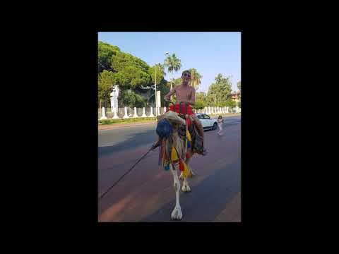 Autonom67 - Intro (Tower Beatz) ( Gegen den Strom )