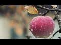 Rhythm Nathiye Nathiye HQ Bgm