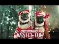 Johnny Orlando - Mistletoe (Lyrics) | Official Nightcore LLama Reshape Johnny Orlando - Mistletoe (Lyrics) | Official Nightcore LLama Reshape