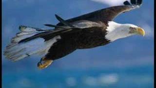 Born to Fly - Paul Janz