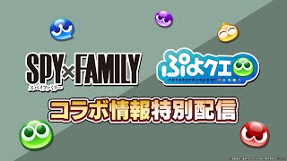 ぷよクエ『SPY×FAMILY』コラボ情報特別配信(2024.8.24)