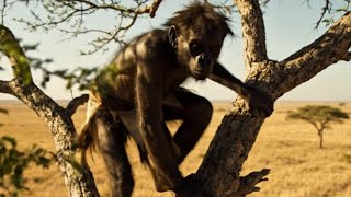 Life 2.1 Million Years Ago | How Early Humans Hunted to Survive