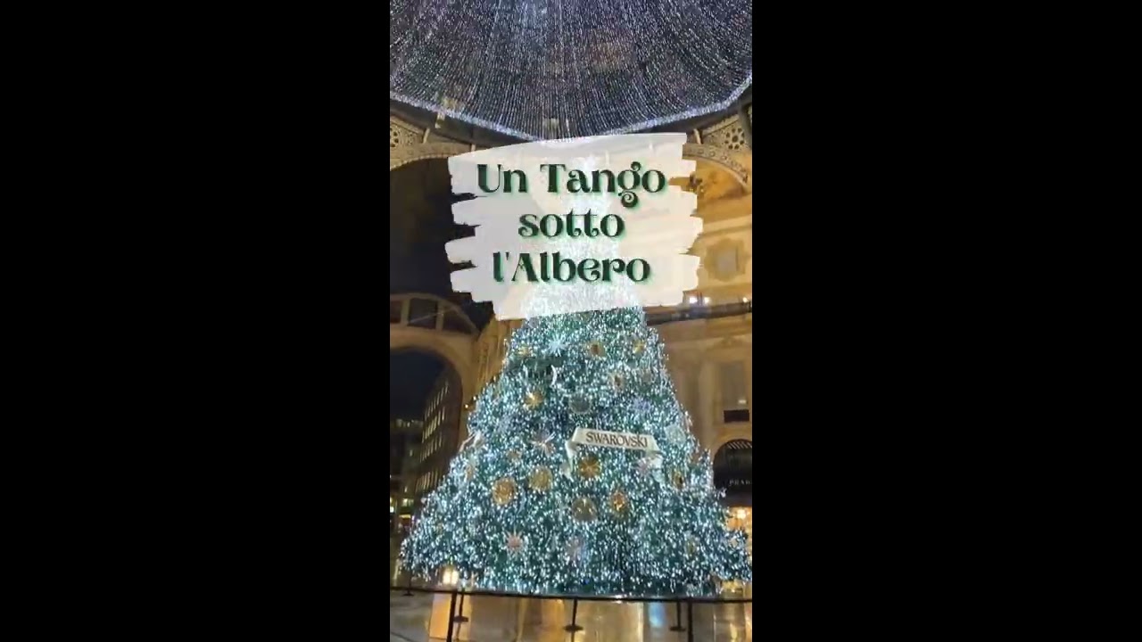 Tango sotto l'Albero. Laura Borromeo e Julio Alvarez.