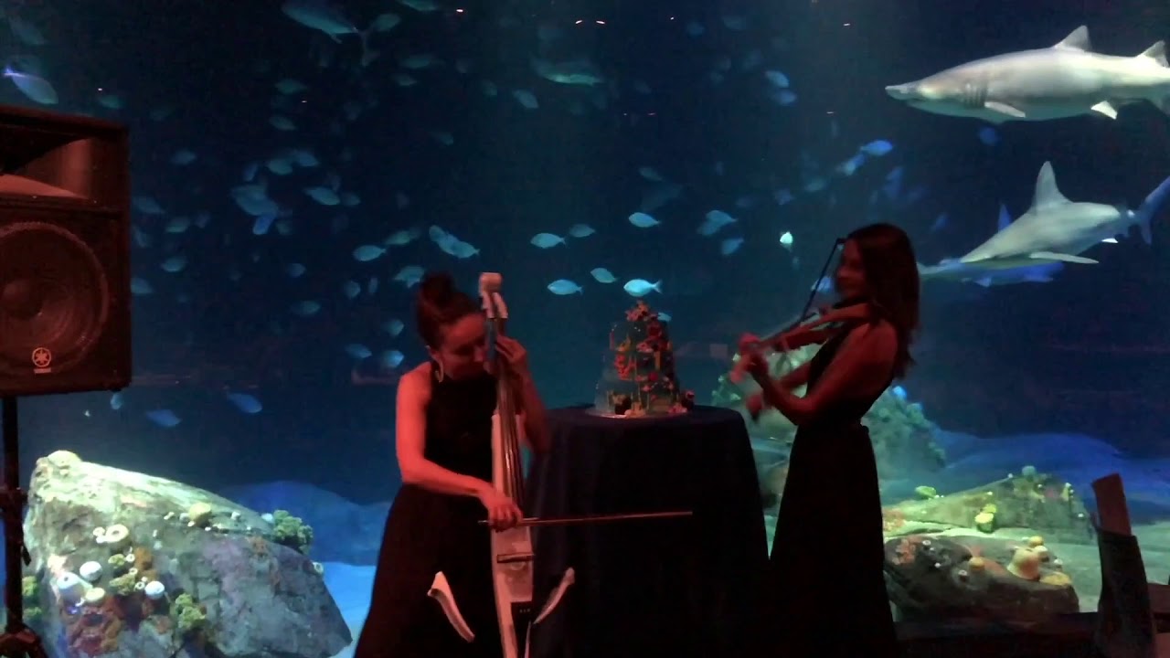 Promotional video thumbnail 3 for Music By Gigi