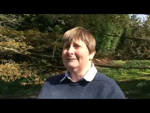 Sandling Park DVD preview