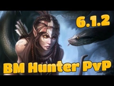 6.1.2 BM Hunter PvP (1080p ᴴᴰ) More 2200 MMR Hunter Feral 2s!  - World of Warcraft