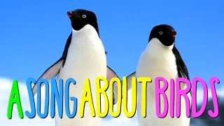 &quot;A SONG ABOUT BIRDS&quot;
