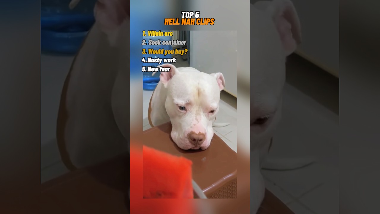 Top 5 Hell Nah Clips #hellnah