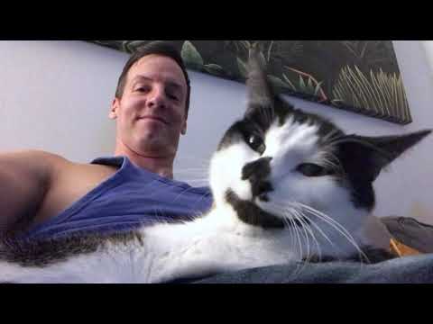 My cat loves me. Here's proof. - YouTube