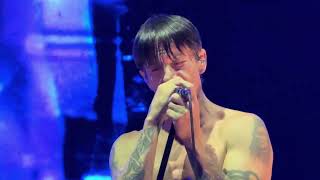 Red Hot Chili Peppers - Hard to Concentrate (Live) 4K