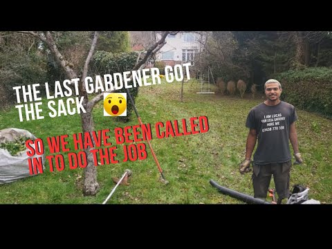 Your Gardener & Landscaper LTD video.