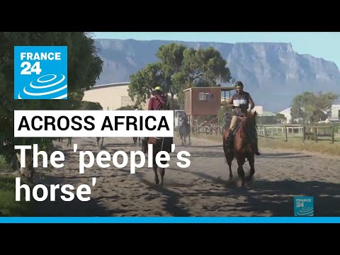 Across Africa | Kommetdieding: The 'people's horse' • FRANCE 24 English