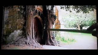 Our Falsified Timeline in Plain Sight. 🏛👁