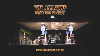 The Amazons - Junk Food Forever (Audio)