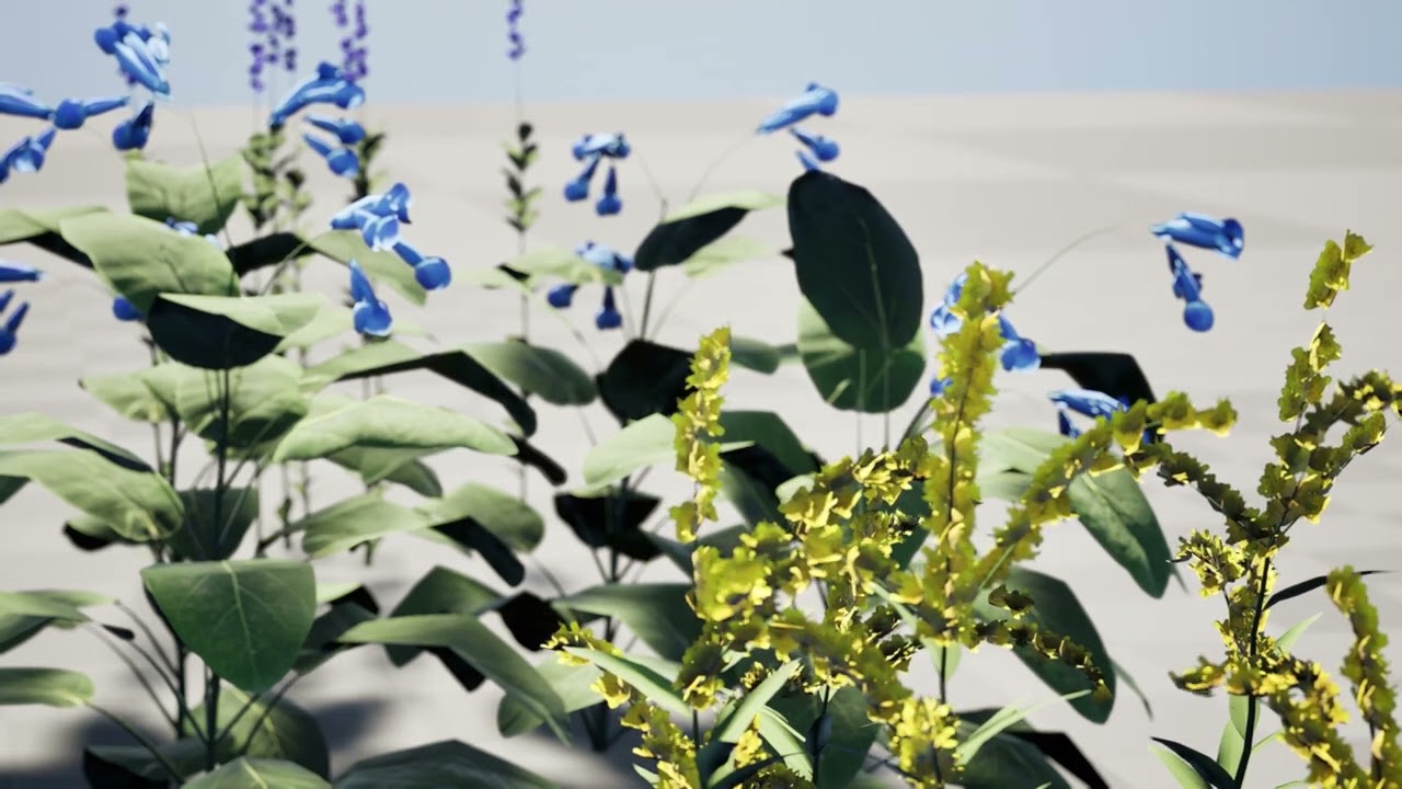 North American Wildflowers 01 3D Model