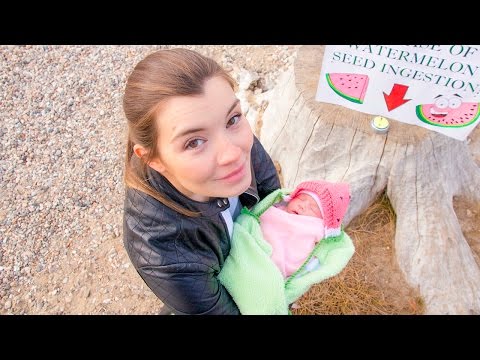 Youtube Video Preview